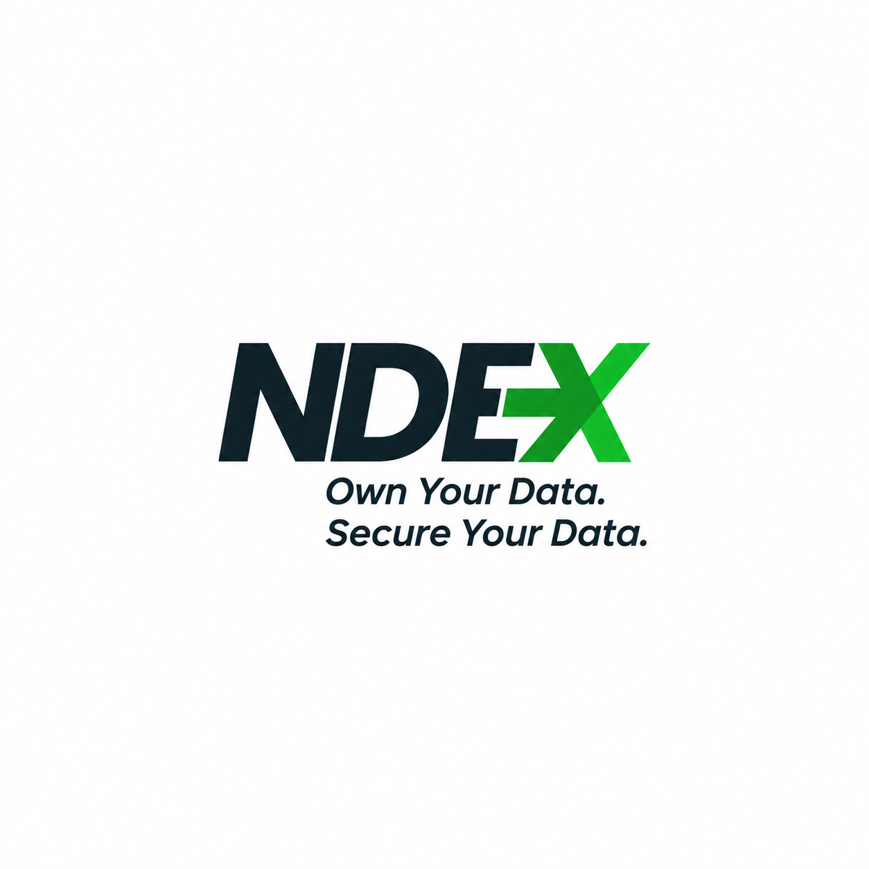 Logo reading NDEX with the EX in bright green, above the tagline Own Your Data. Secure Your Data. on a white background.